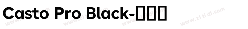 Casto Pro Black字体转换